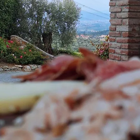 Sottotono Carmignano