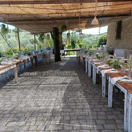 Gospodarstwo agroturystyczne Sottotono Carmignano